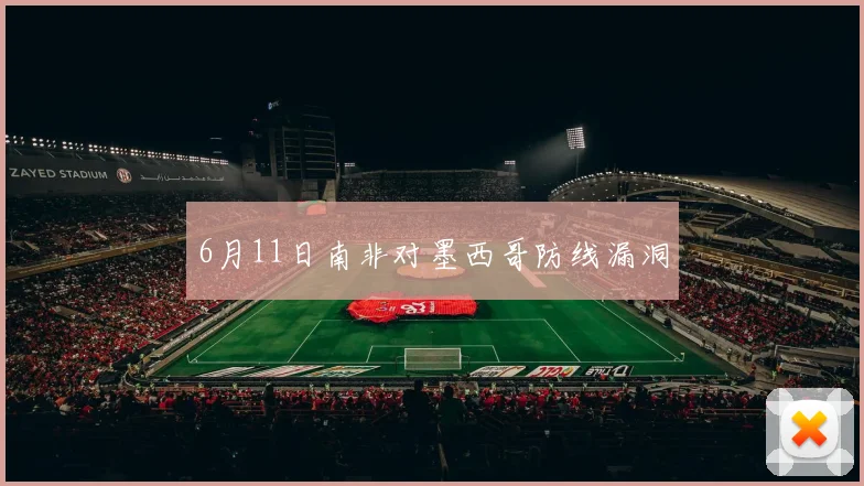 6月11日南非对墨西哥防线漏洞