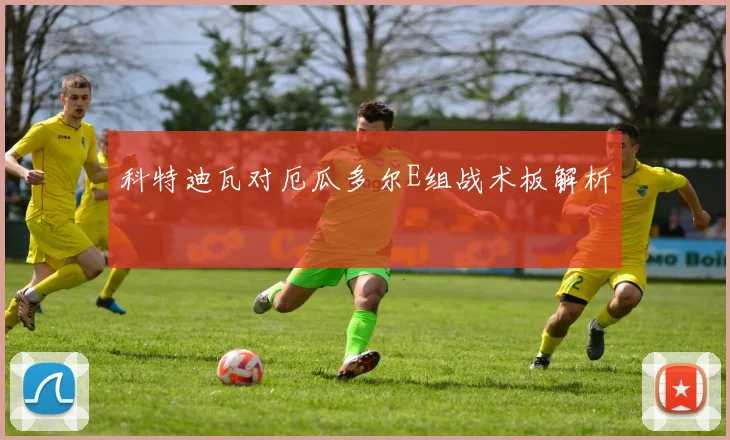 科特迪瓦对厄瓜多尔E组战术板解析