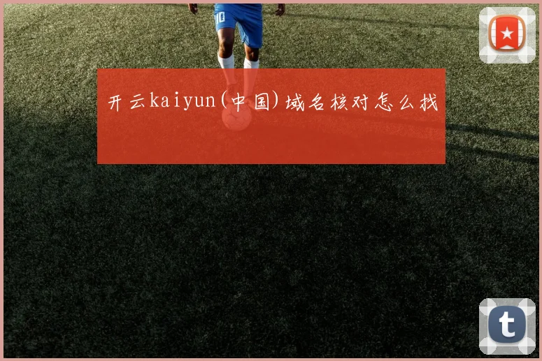 开云kaiyun(中国)域名核对怎么找