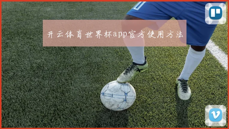 开云体育世界杯app官方使用方法